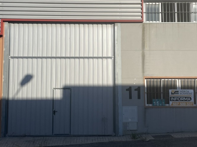 banner-image